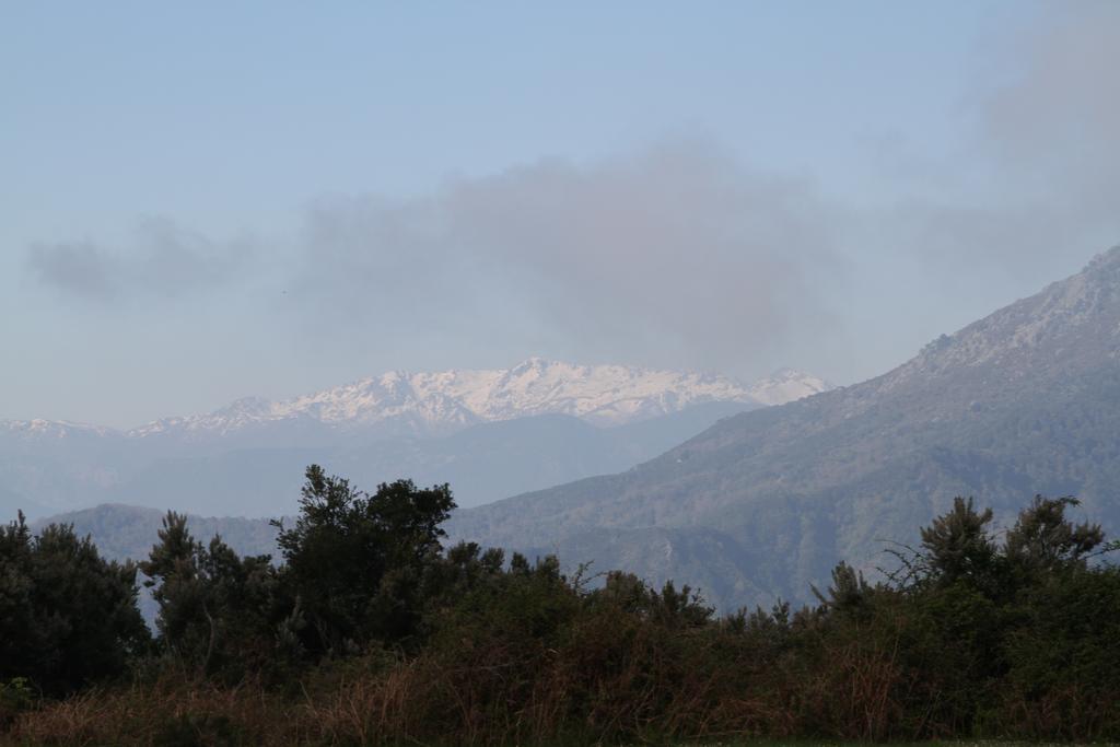 Kallista 1 San-Giuliano Δωμάτιο φωτογραφία